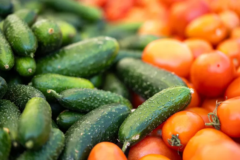 Buntes Sommergemüse: Tomaten, Gurken und Zucchini.